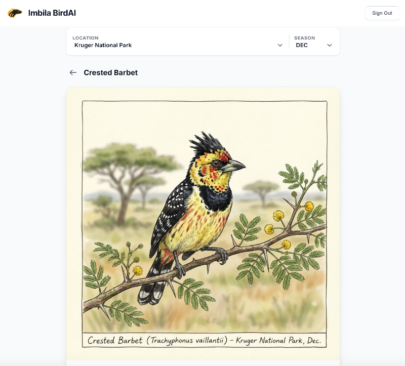 From Literacy to Building