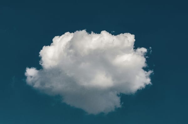 Beyond SaaS Dependence: Keeping Your Business Flexible and Resilient